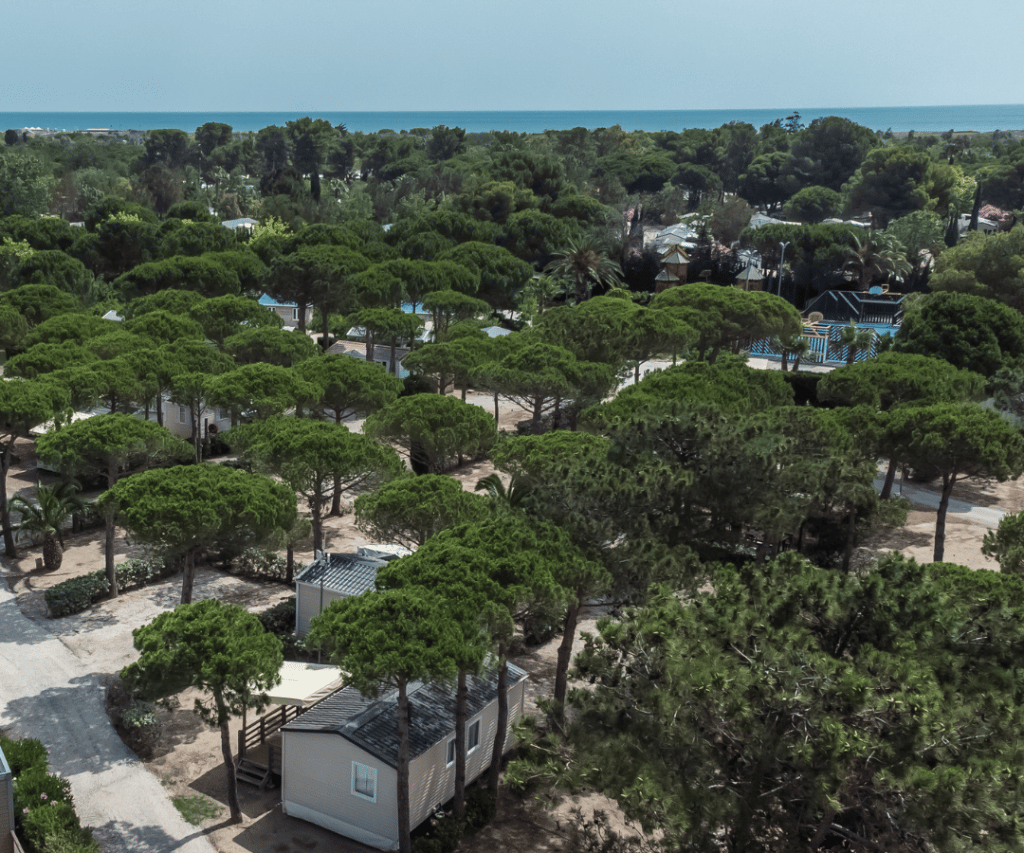 emplacement camping torreilles