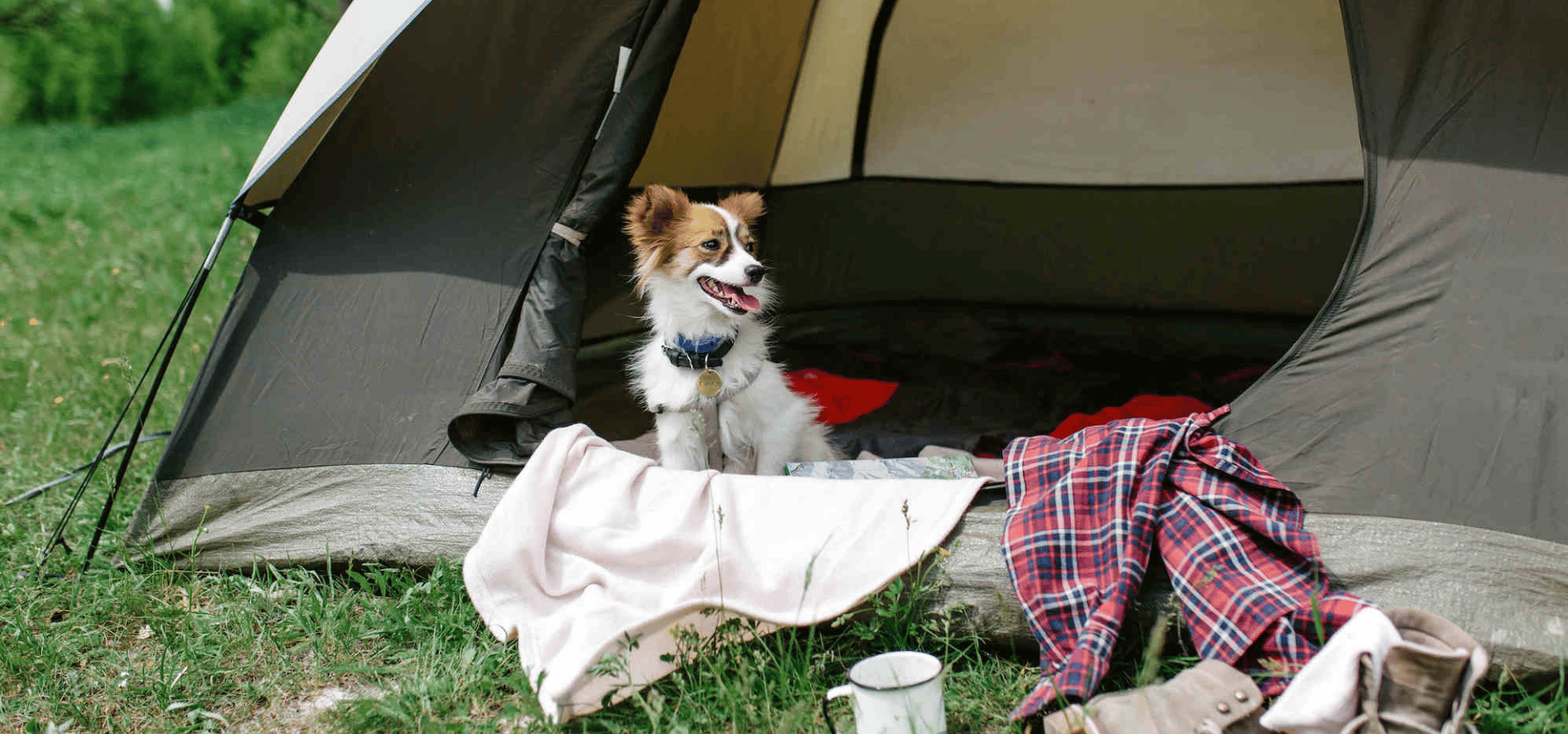 emplacement tente camping torreilles