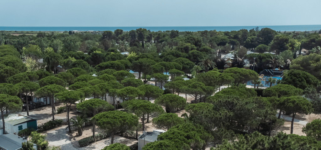 location salle perpignan