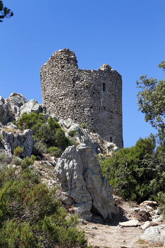 Tour de la Massane randonnée